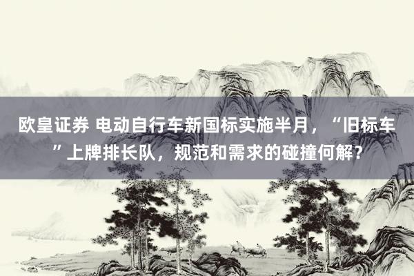 欧皇证券 电动自行车新国标实施半月，“旧标车”上牌排长队，规范和需求的碰撞何解？