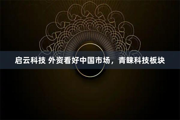 启云科技 外资看好中国市场,青睐科技板块