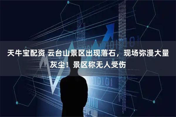 天牛宝配资 云台山景区出现落石,现场弥漫大量灰尘!景区称无人受伤