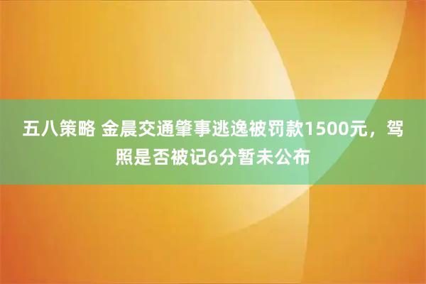 五八策略 金晨交通肇事逃逸被罚款1500元，驾照是否被记6分暂未公布