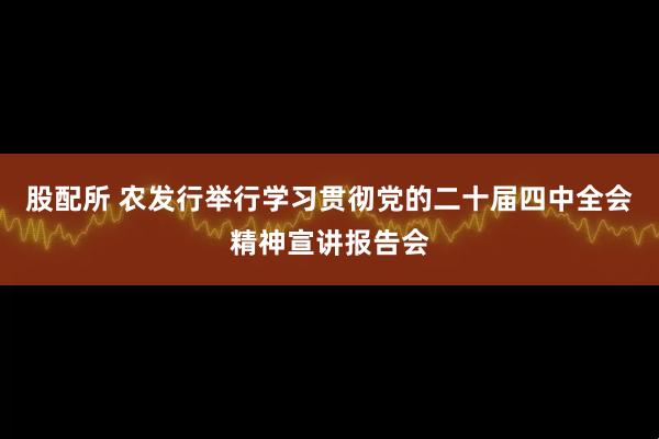 股配所 农发行举行学习贯彻党的二十届四中全会精神宣讲报告会