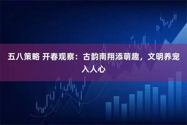 五八策略 开春观察：古韵南翔添萌趣，文明养宠入人心